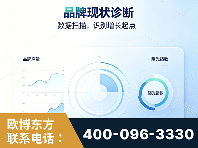 应城-品牌现状诊断