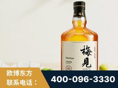 应城-梅见青梅酒
